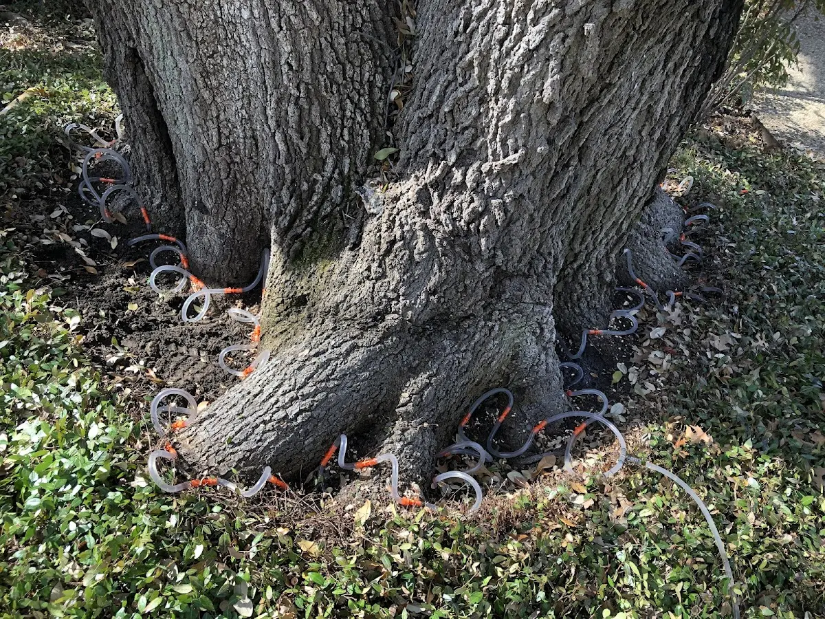 Detailed Shrub and Hedge Trimming job site in Langsville