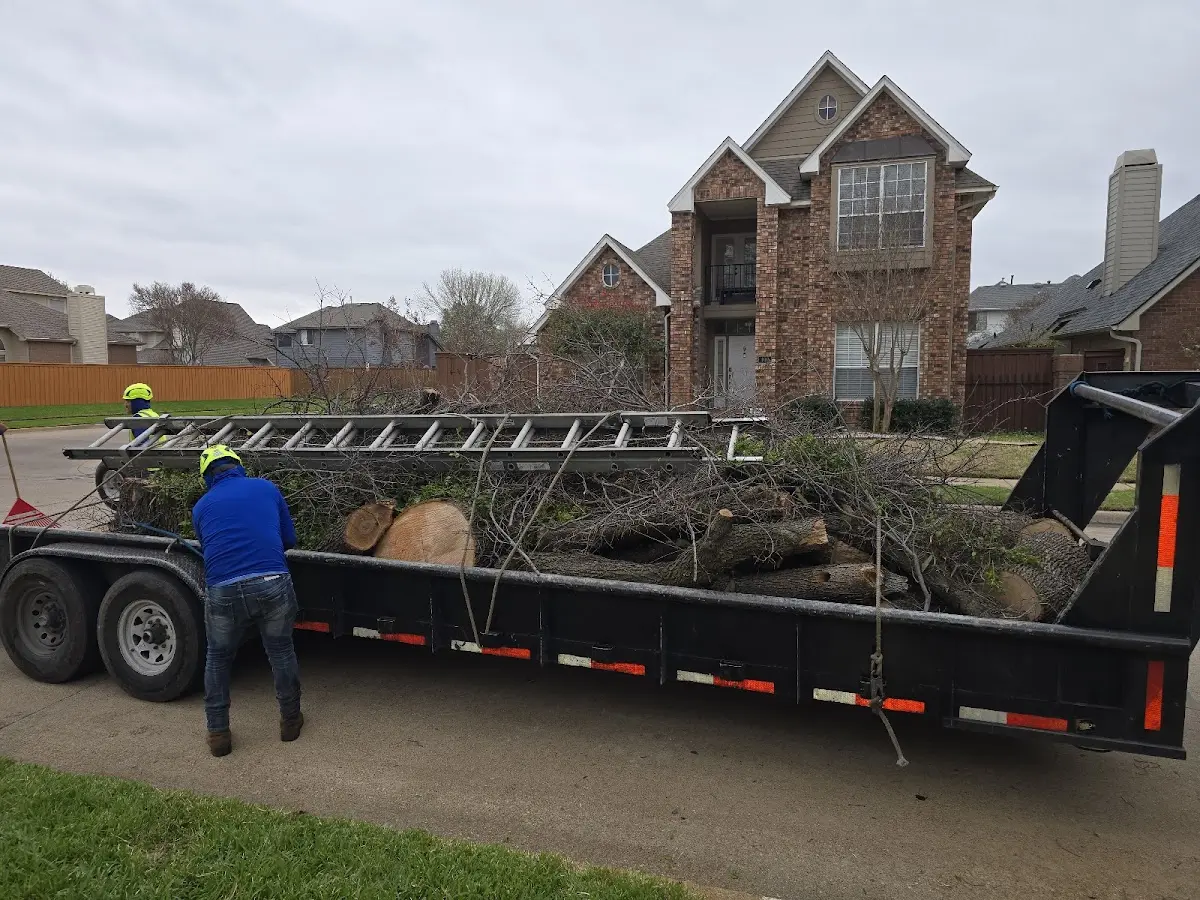 Expert Tree Fertilization with proper safety equipment in Langsville